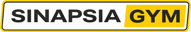 SinapsIA Gym